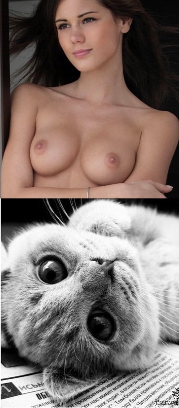 Bare tits and cat. - NSFW, , Truth or lie, Boobs, cat