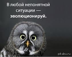 А ведь правда.... | Пикабу