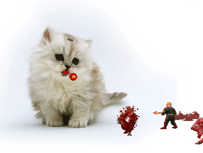 Cat VS Doom