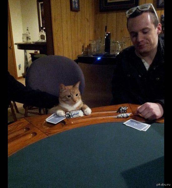 poker face