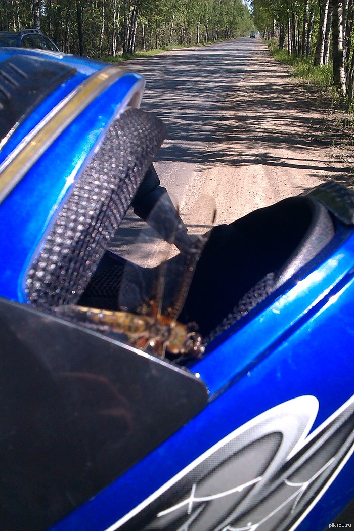 ������� ��������� :)