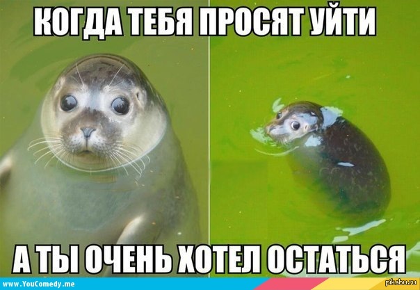 Когда просят уйти...