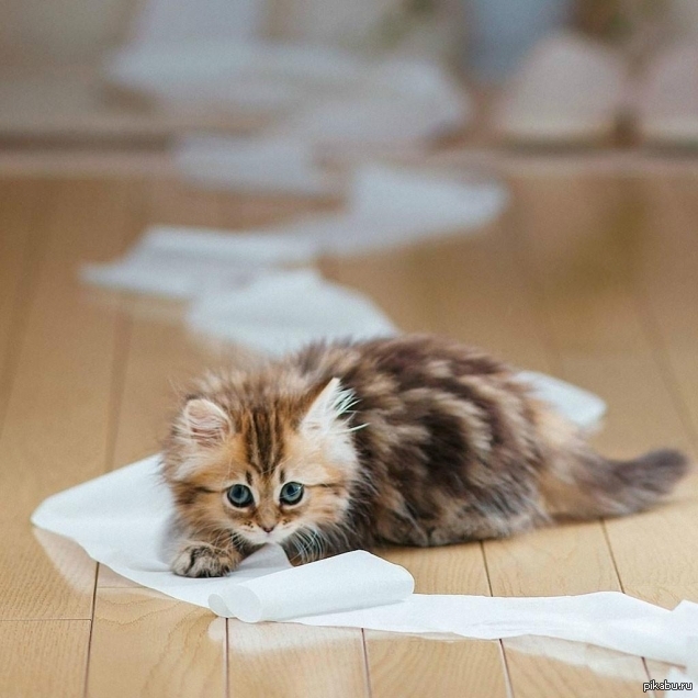 ������� ����� crip-walk: ��������� �������, �� �� ��������� �����:)