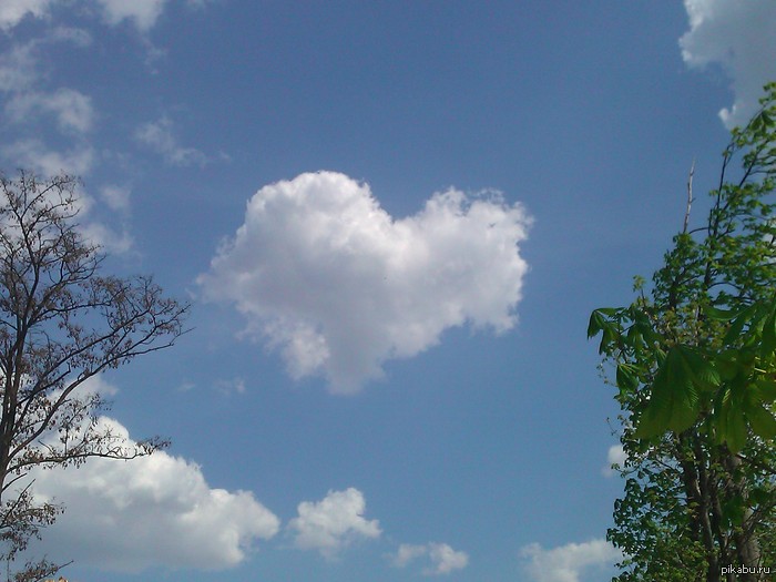 ���� ���������� ����� ������...)