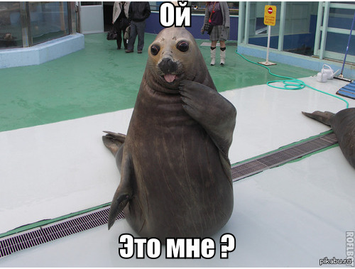   ,    -  