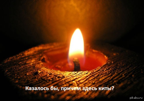 Ну раз пошла такая пляска с песнями