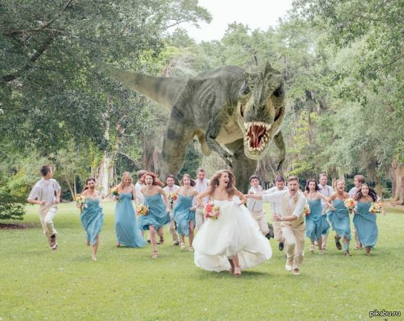 � ����� ����� �� �� ��������