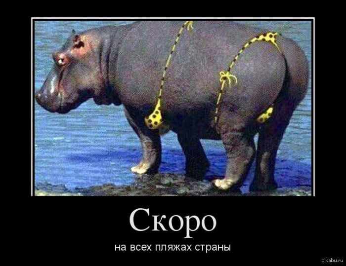 картинки скоро на море