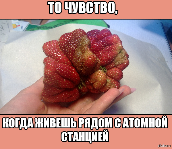    :)   http://pikabu.ru/story/_1292436