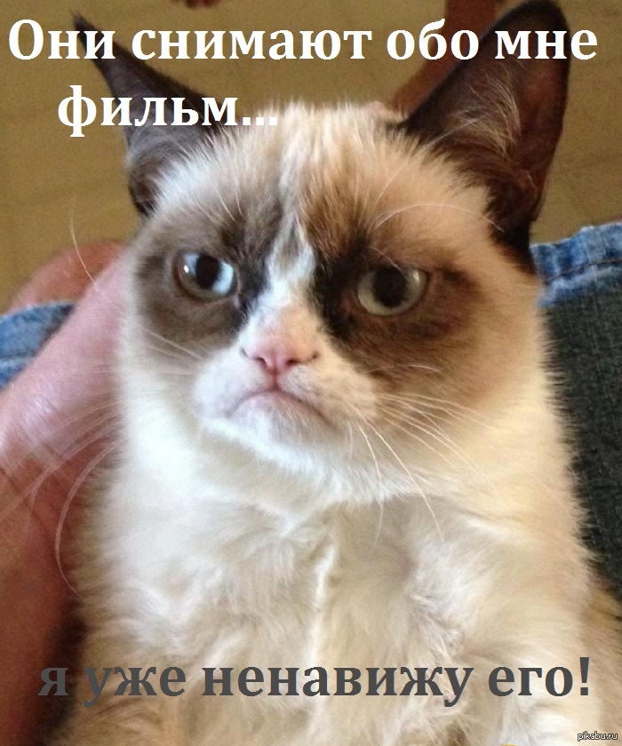 Grumpy Cat   . http://www.1tv.ru/news/world/234298