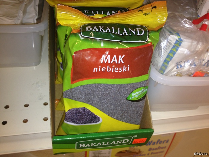 �����, �����?