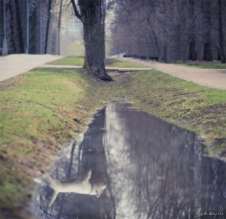 ������ ��������� ���� ����������� �������, ���-�� � ������ �����.