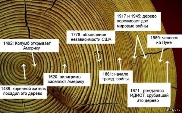 Take care of the forest. - The science, Person