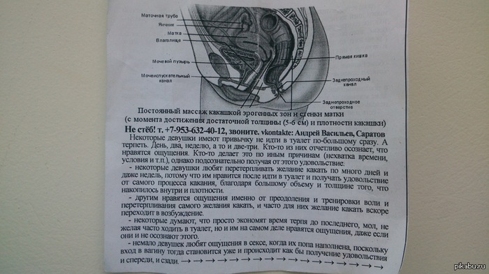 ������ �������� �_�