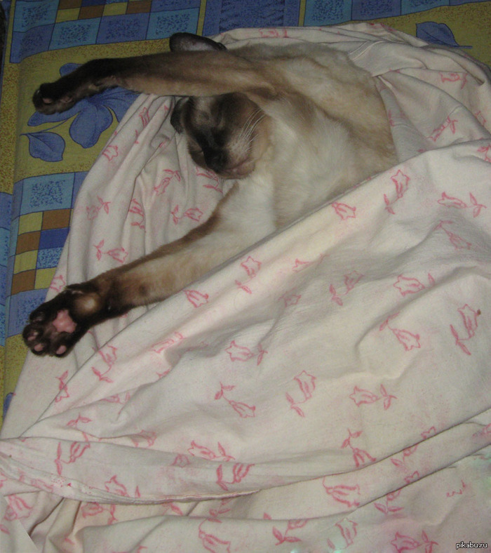 ��������� ������ ���