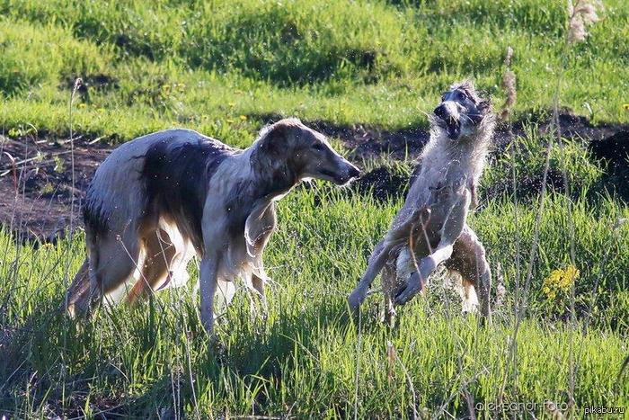 понедельник ЗАВТРА???