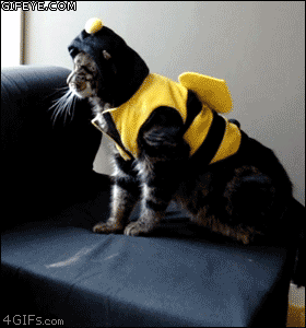 Google     .           Google    -