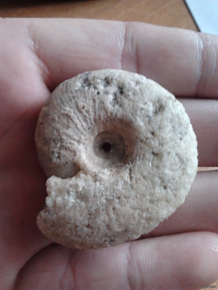 ����� ������ ������������ �� ������ ���, �������� �� ������