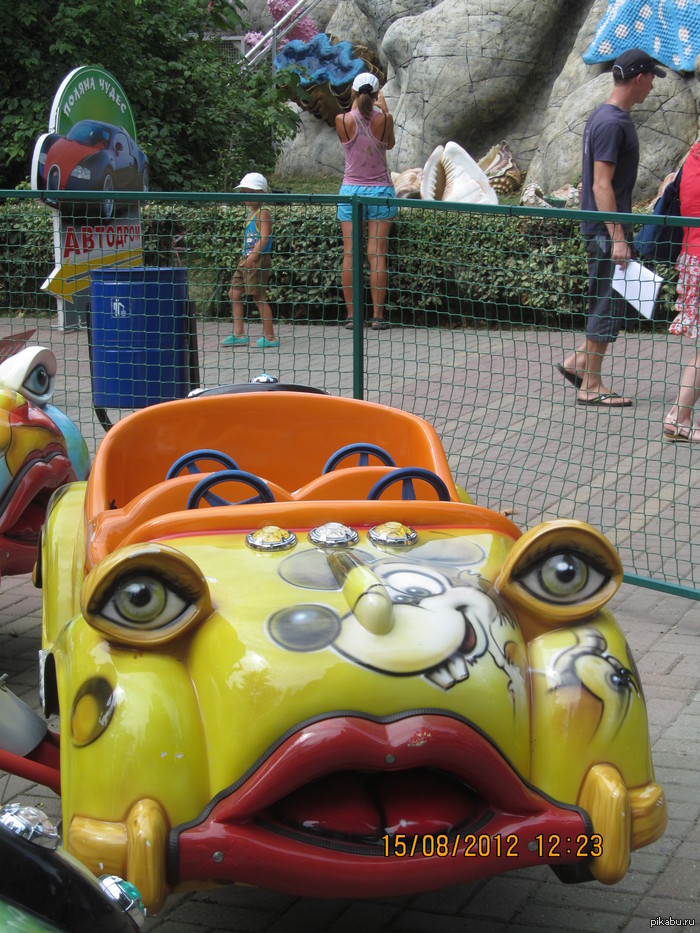 ������ ��� ��?