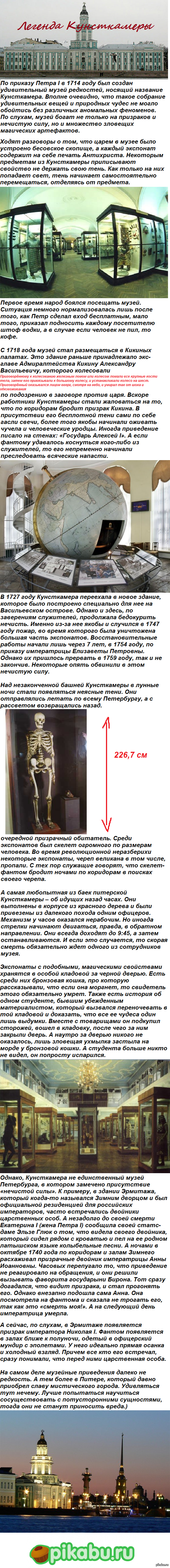 Легенда Кунсткамеры (длиннопост)