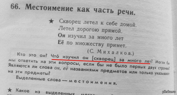 Что изучил скворец? | Пикабу