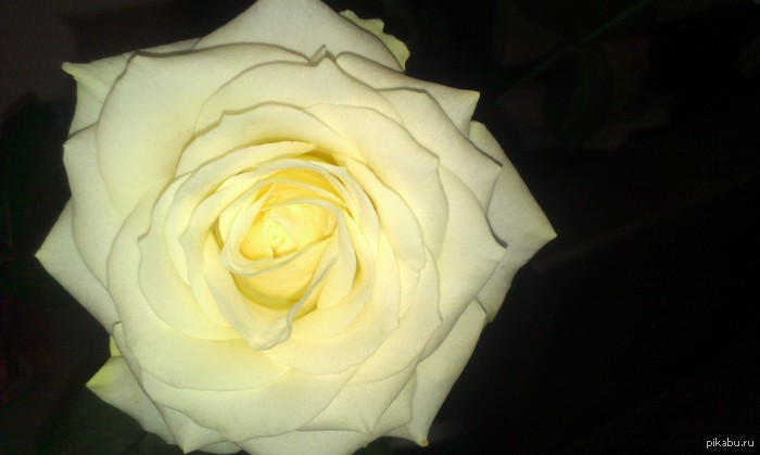 ��� ��������� ����������� ����