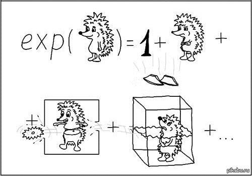 ������ ����������