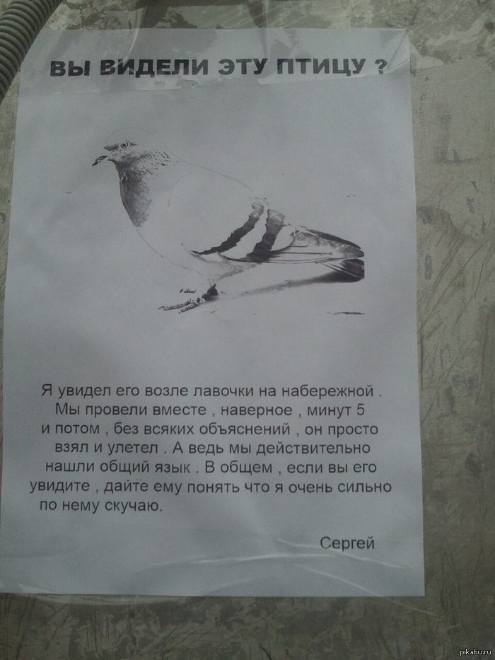 Сделал мой день