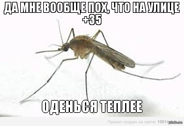 ���������� ������