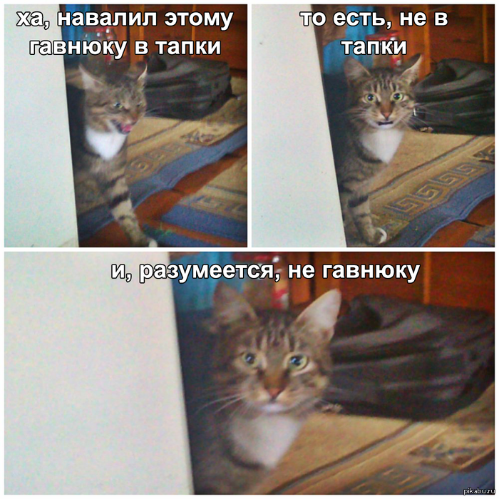 ���, ������� ������, ��� ���� ����