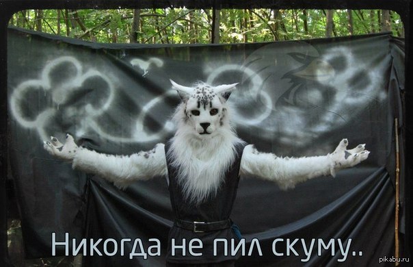 Никогда не пил скуму