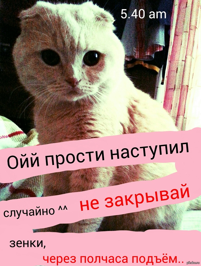 yeah baby it's monday