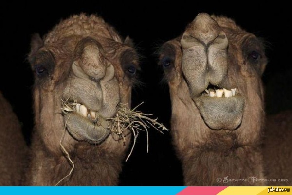 Утро понедельника