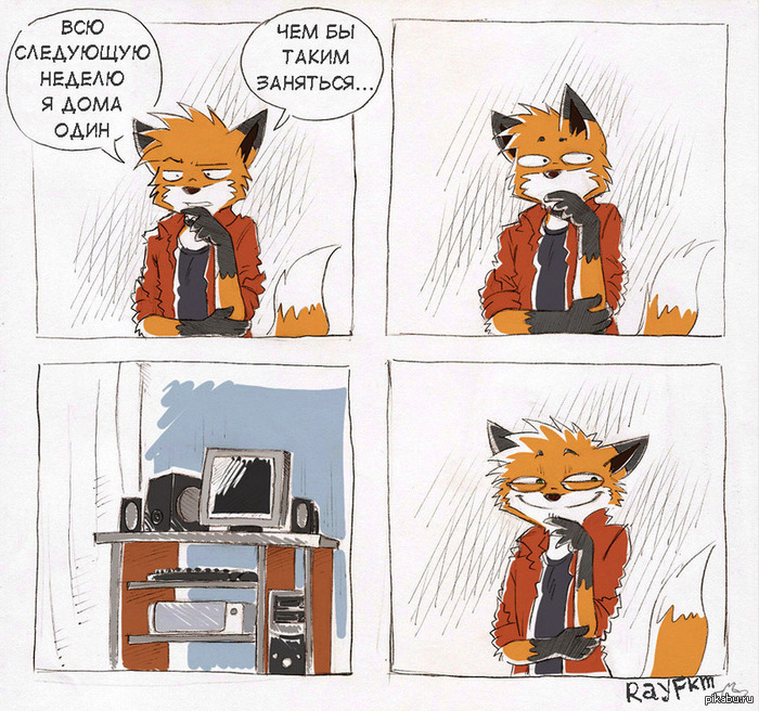 What to do? - Fox, Comics, Alone at home, Classes, Home Alone (Movie)