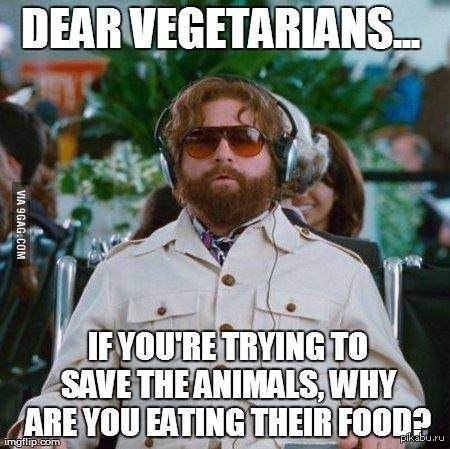 Dear Vegetarians - Vegan, Animals, Grass