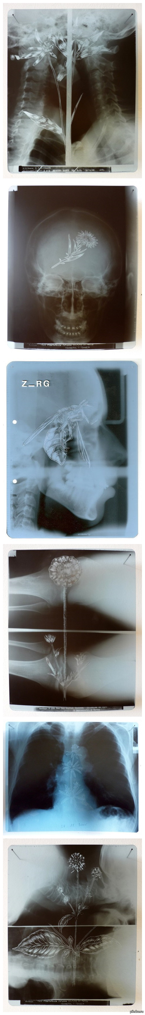 ������ �� ������������� �������