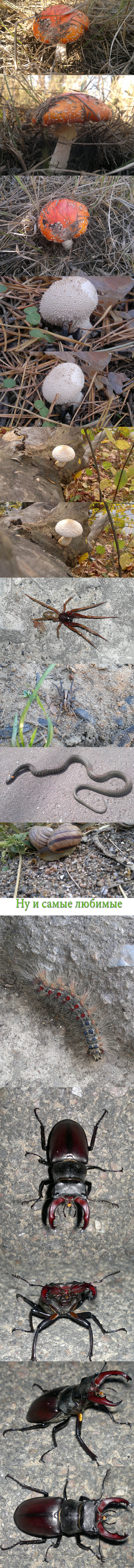 ��������� ���� ��������� �� �������