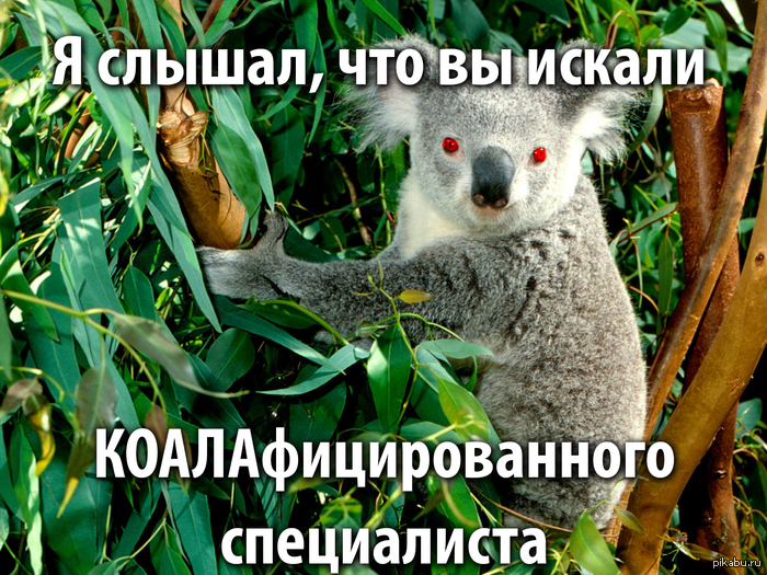 ����������������� ����������