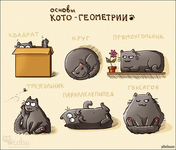 Развития божьей, смешные картинка про математику