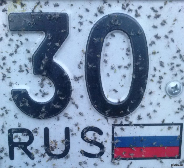 ������ ������������� ����.