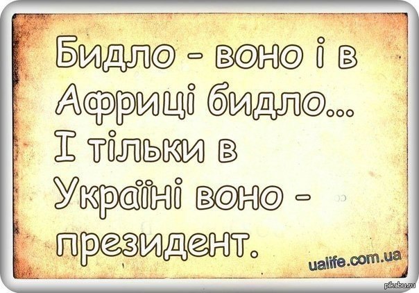 Отак | Пикабу