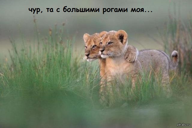 сейчас мы медленно спустимся и...