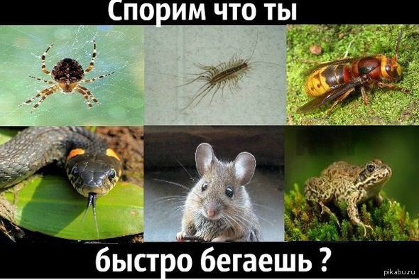 ������?!