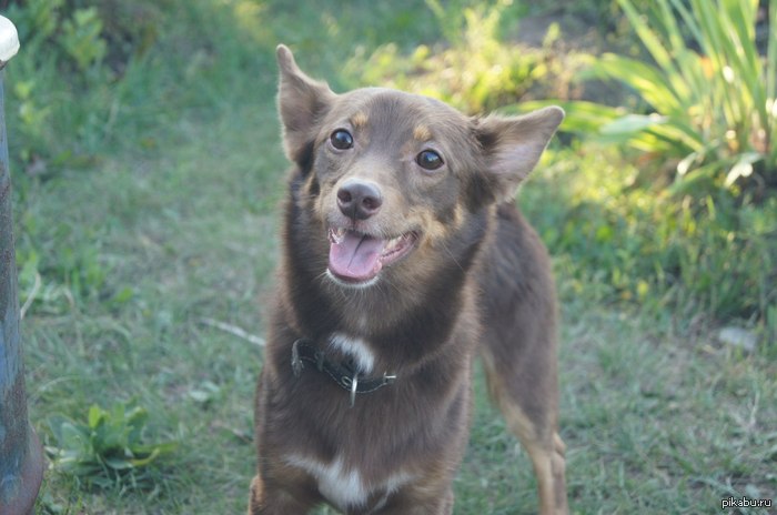 ��� ��� ����������� ����� ������� �������, ��� ��� ��� �����!  ���� ������ ����������, ��� ���� ��������������� ������.