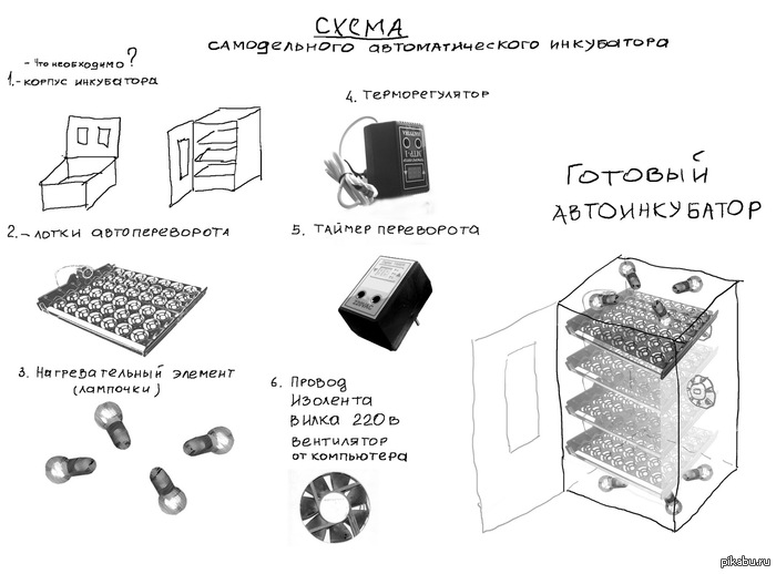 Инкубаторы для яиц - отзывы, схемы | Птицеводство ➤ куры,перепела,гуси,утки,инкубатор | VK