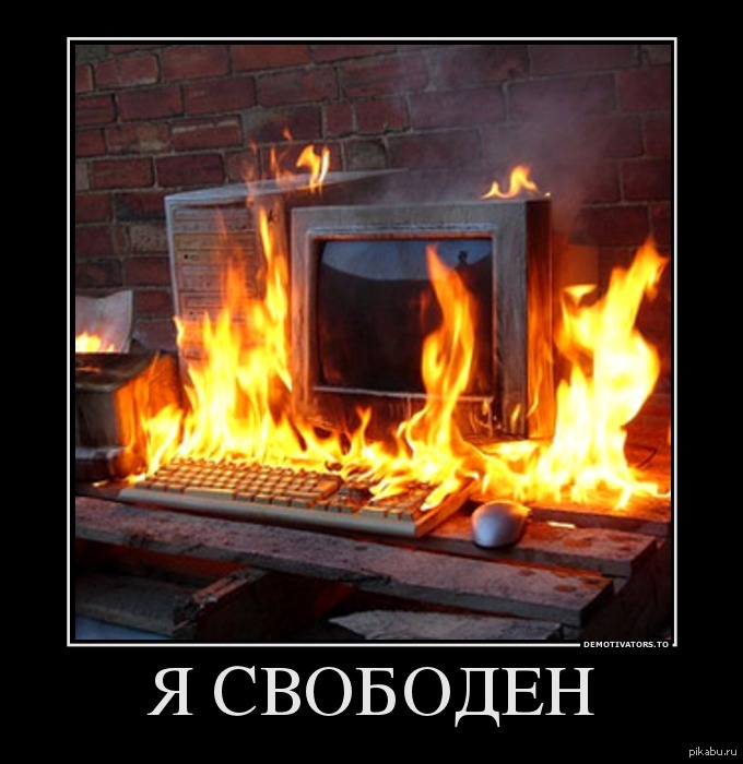 Я свободен | Пикабу