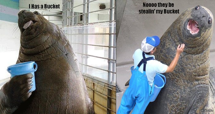 �, � ���� ���� �����!