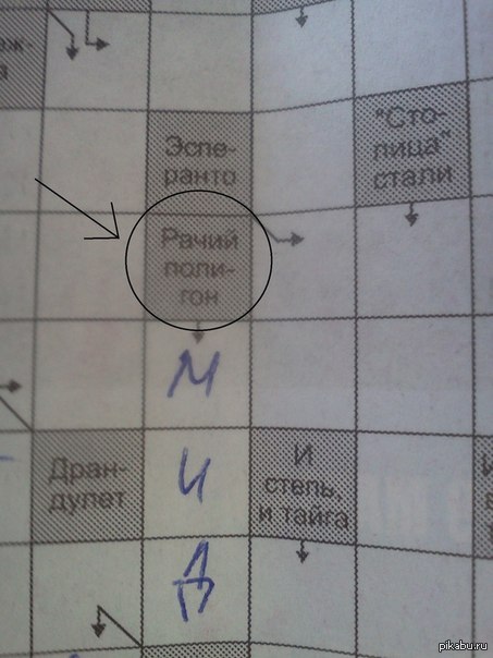 *���������*