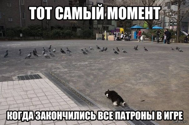   **  