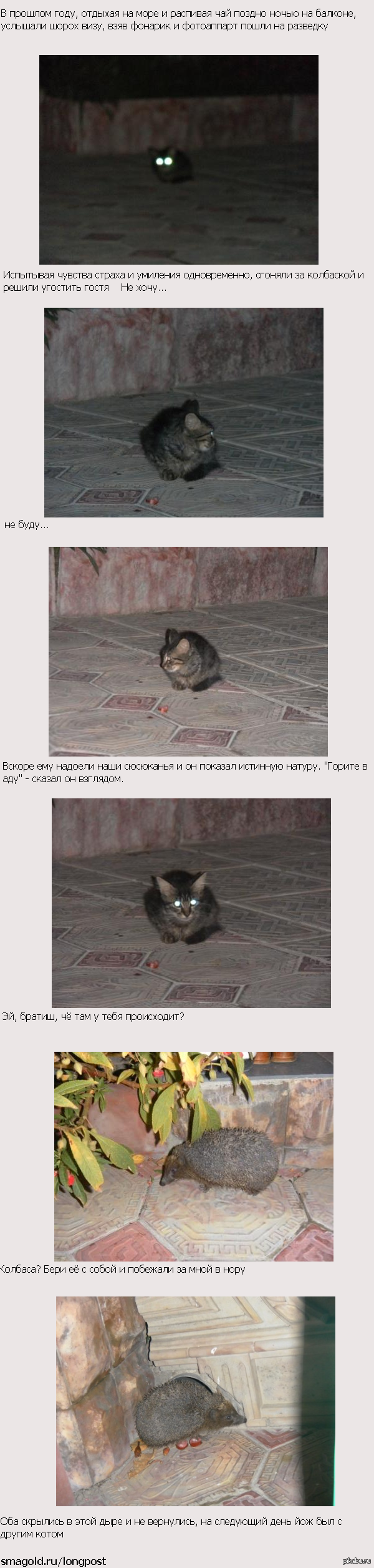������� ���� � ���